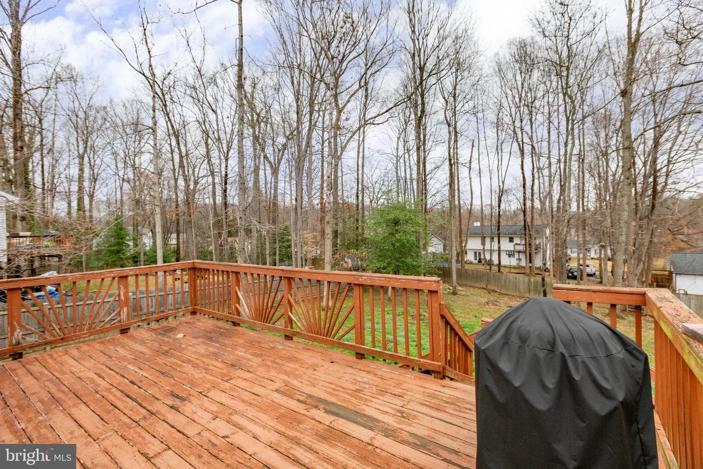 11109 Surry Woods Court photo 59
