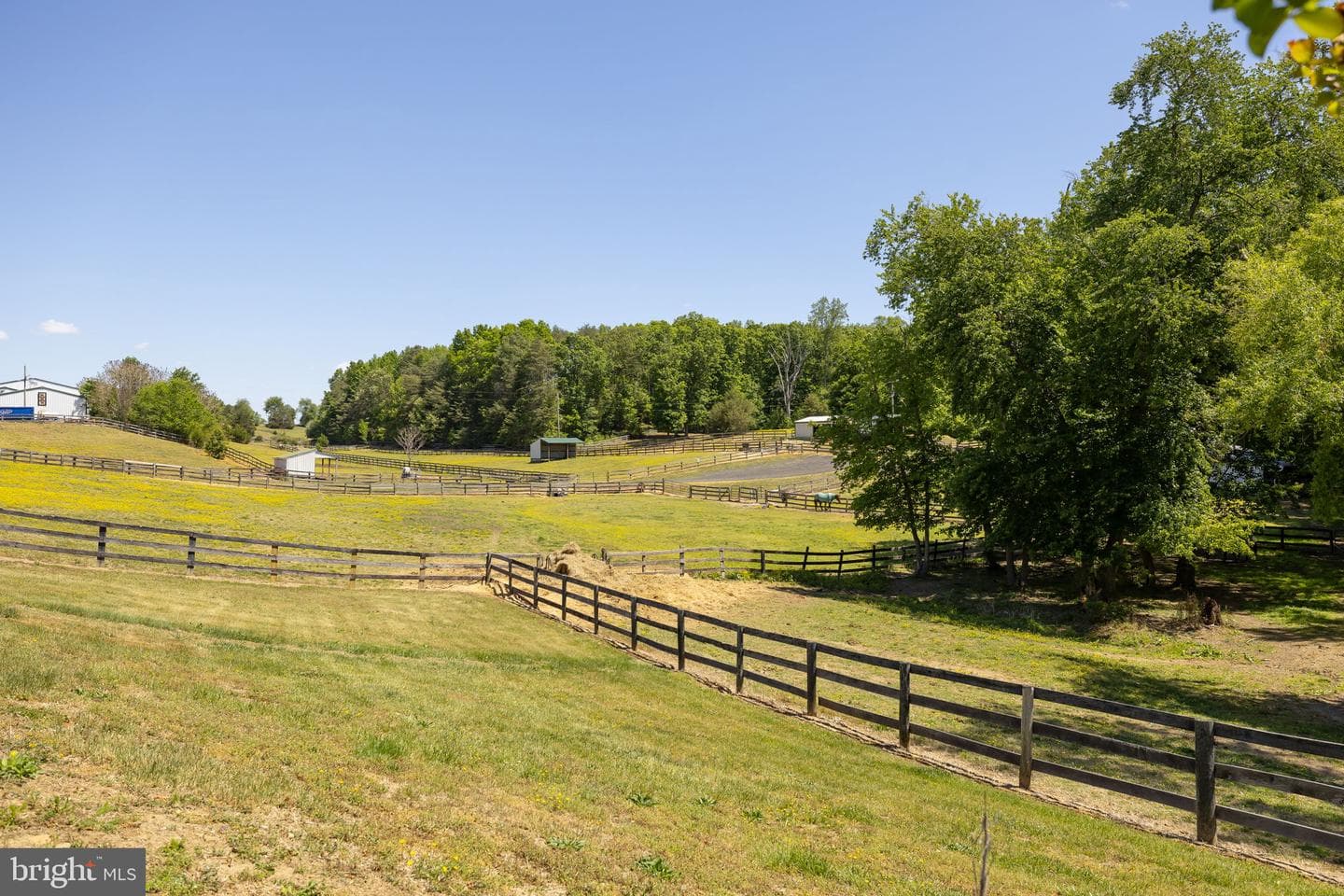 5 Appaloosa Drive photo 100