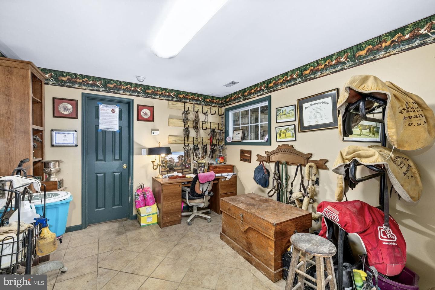 5 Appaloosa Drive photo 20