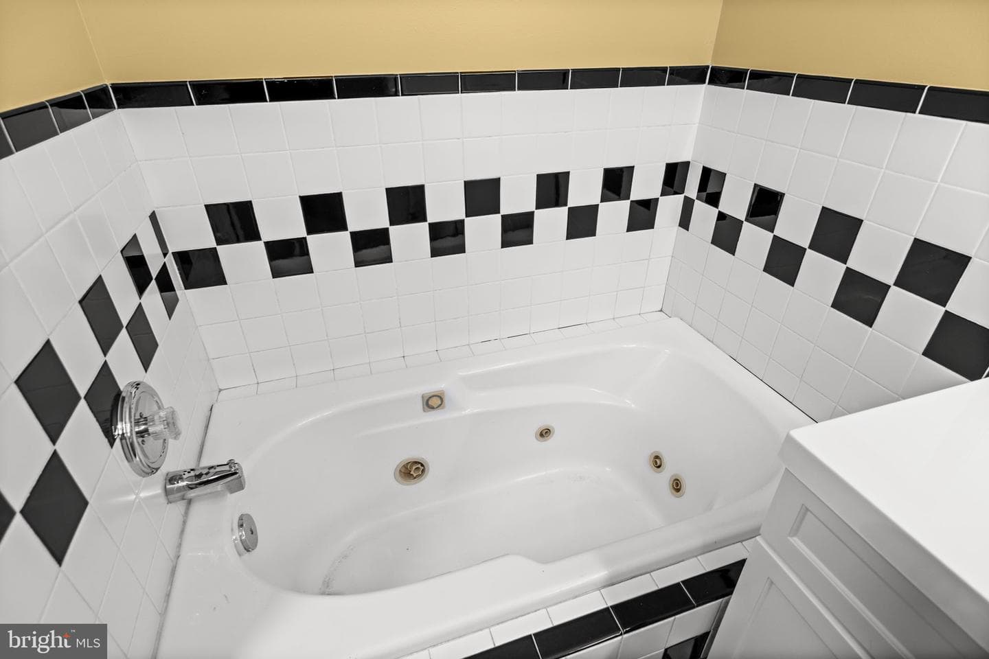 5 Appaloosa Drive photo 50