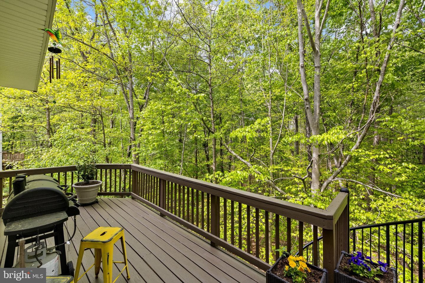 13004 Crested Court photo 48