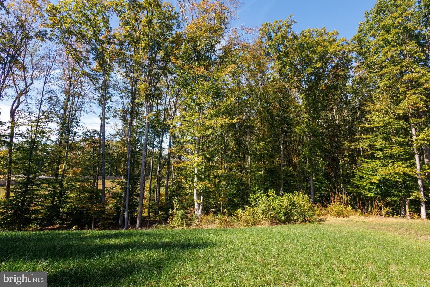 8734 Greenway Drive photo 4
