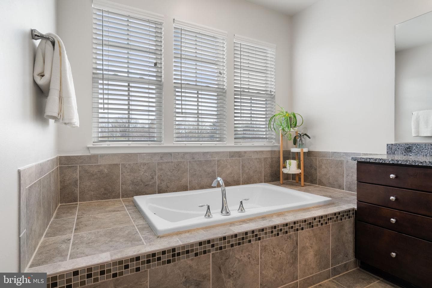 10419 Aspen Highlands Drive photo 30