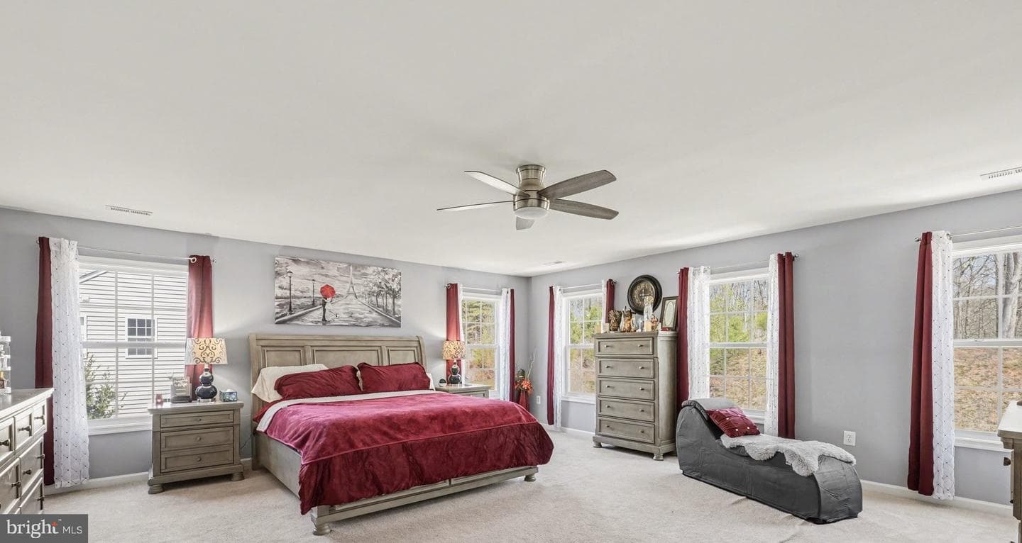 47 Noel Drive photo 19