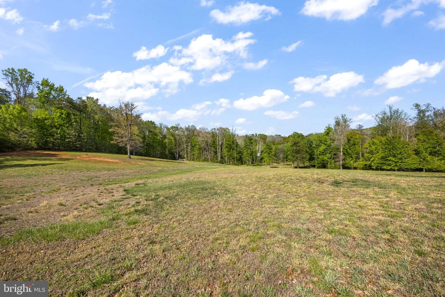 6657 Lawyers Road photo 62