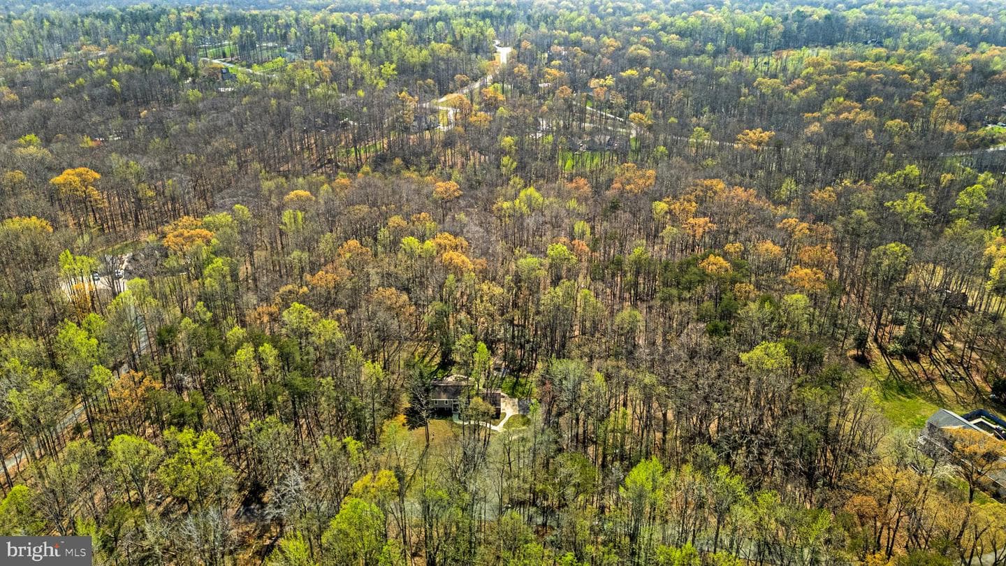 13404 Misty Way photo 46