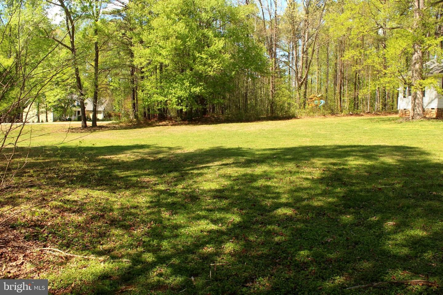 11301 Piney Forest Dr photo 21