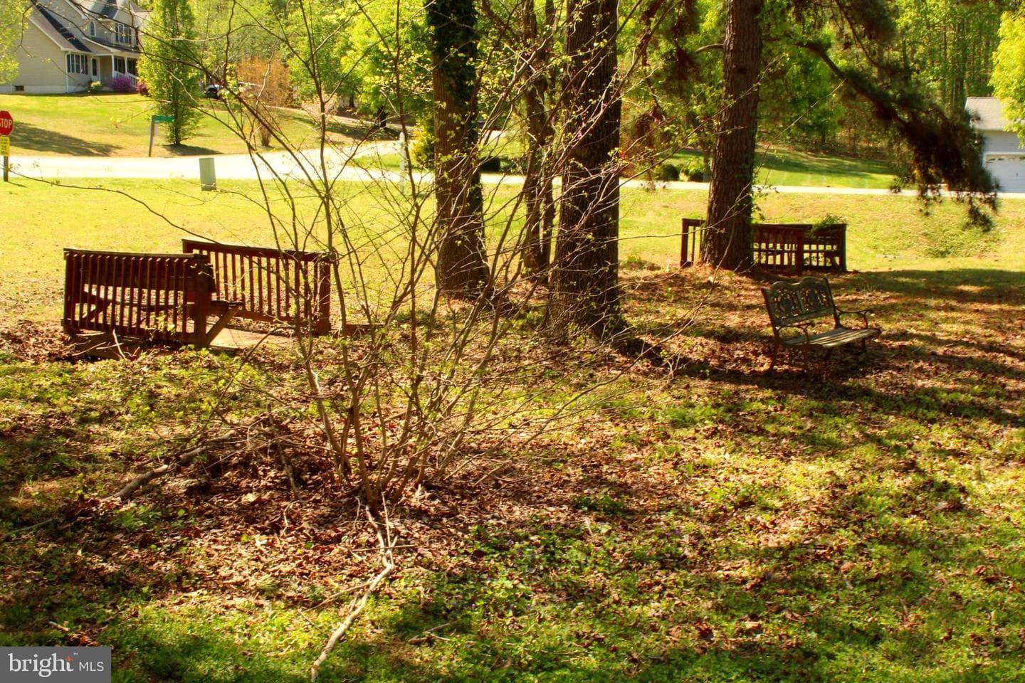 11301 Piney Forest Dr photo 22
