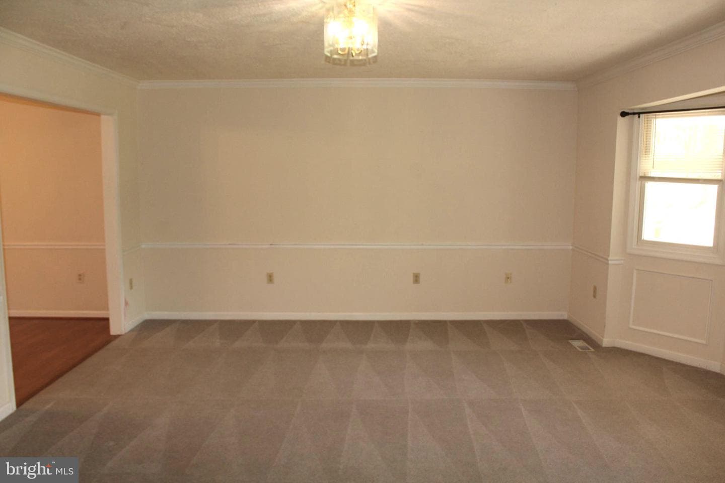 11301 Piney Forest Dr photo 51
