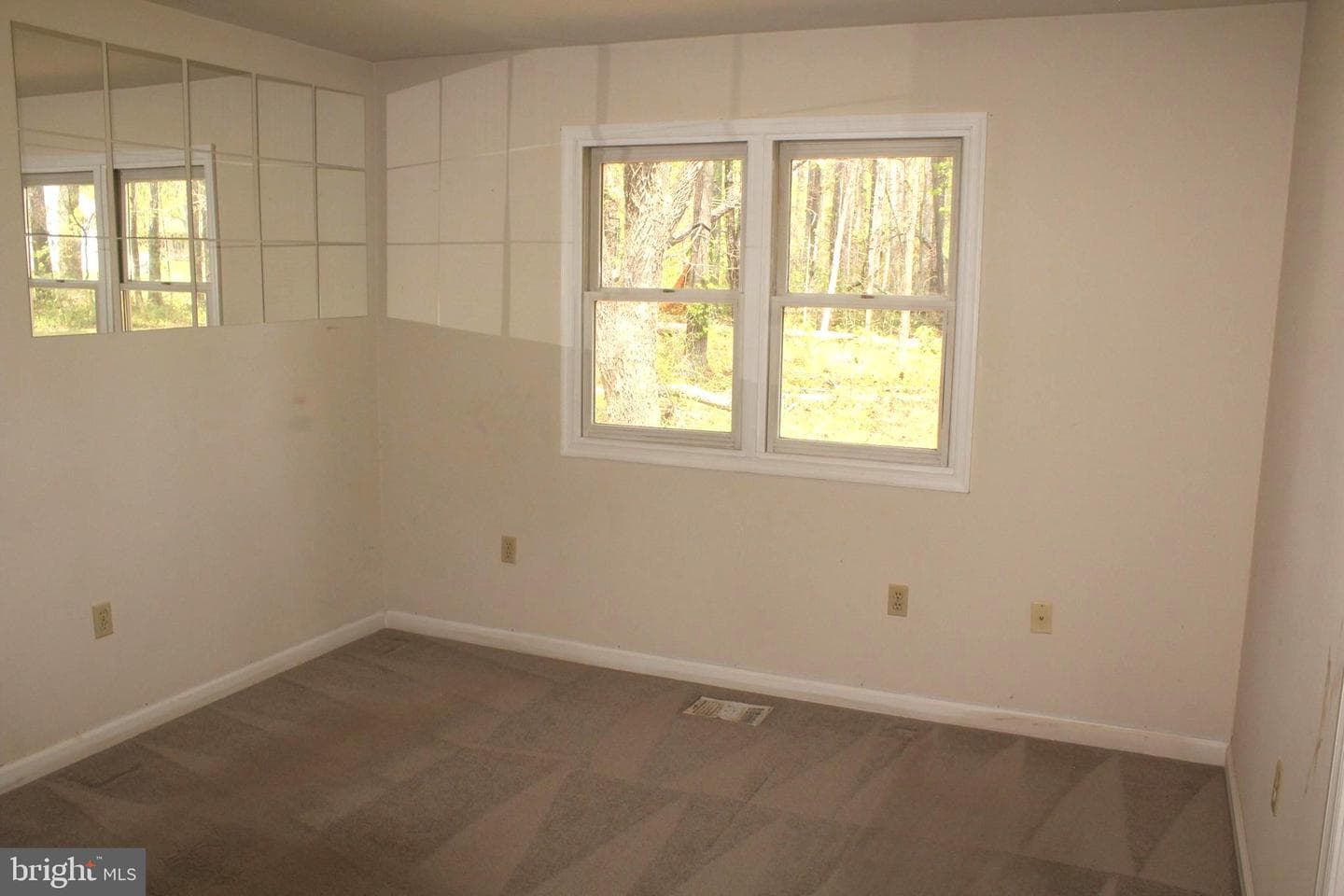 11301 Piney Forest Dr photo 57