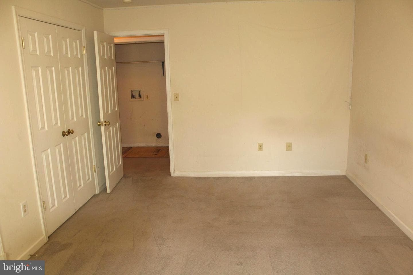 11301 Piney Forest Dr photo 67