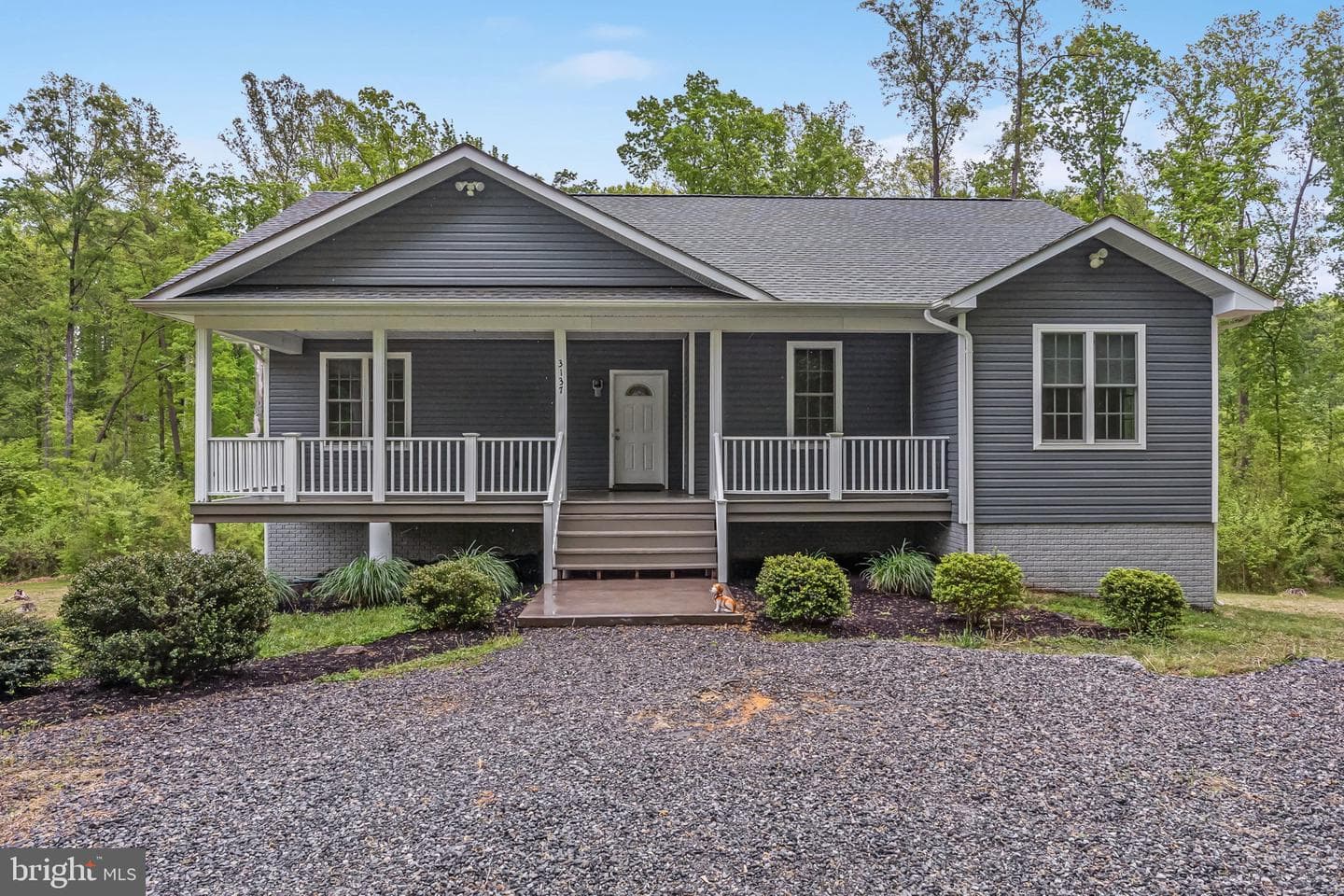 3137 Blount Drive photo 22