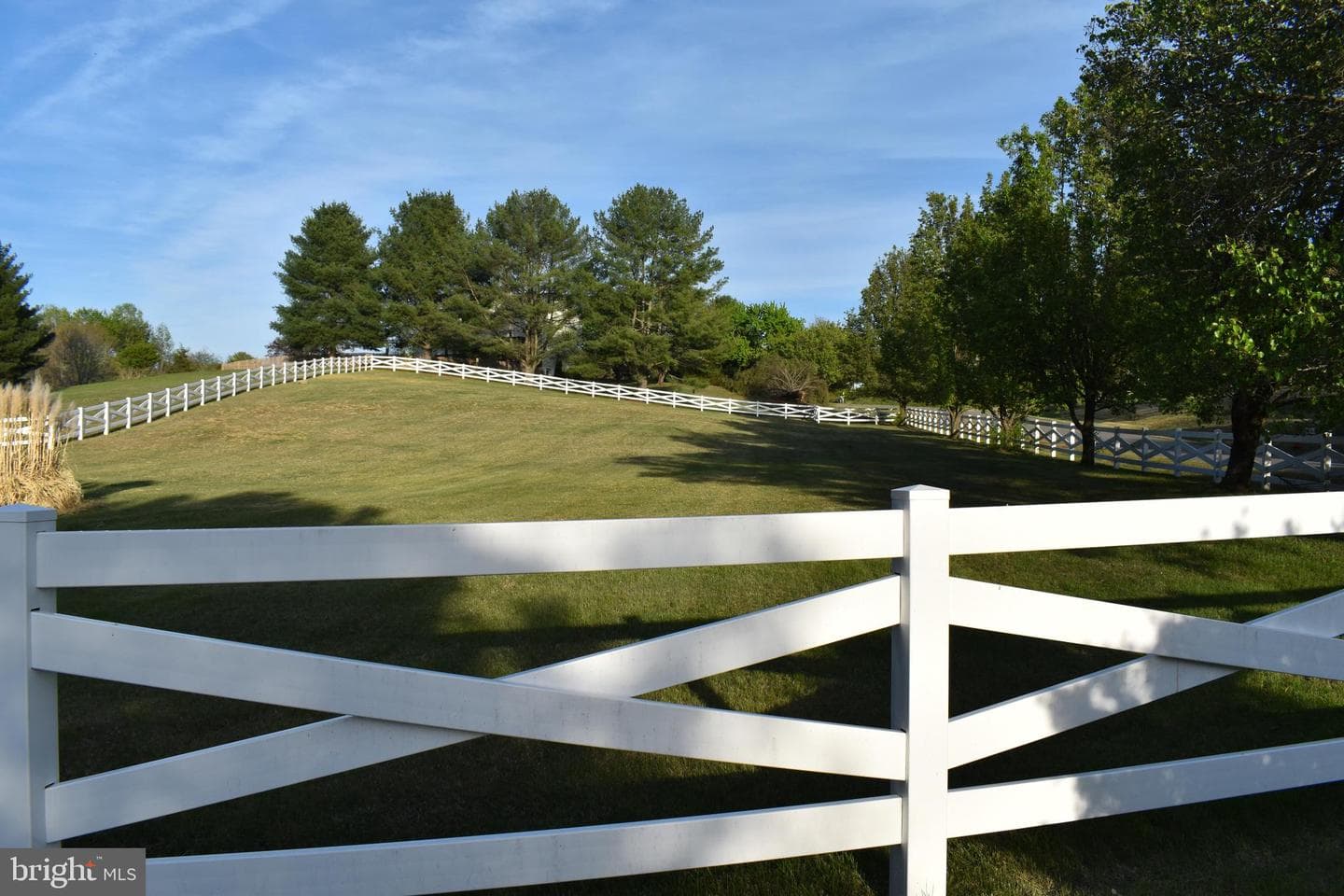 7211 Cattail Court photo 3