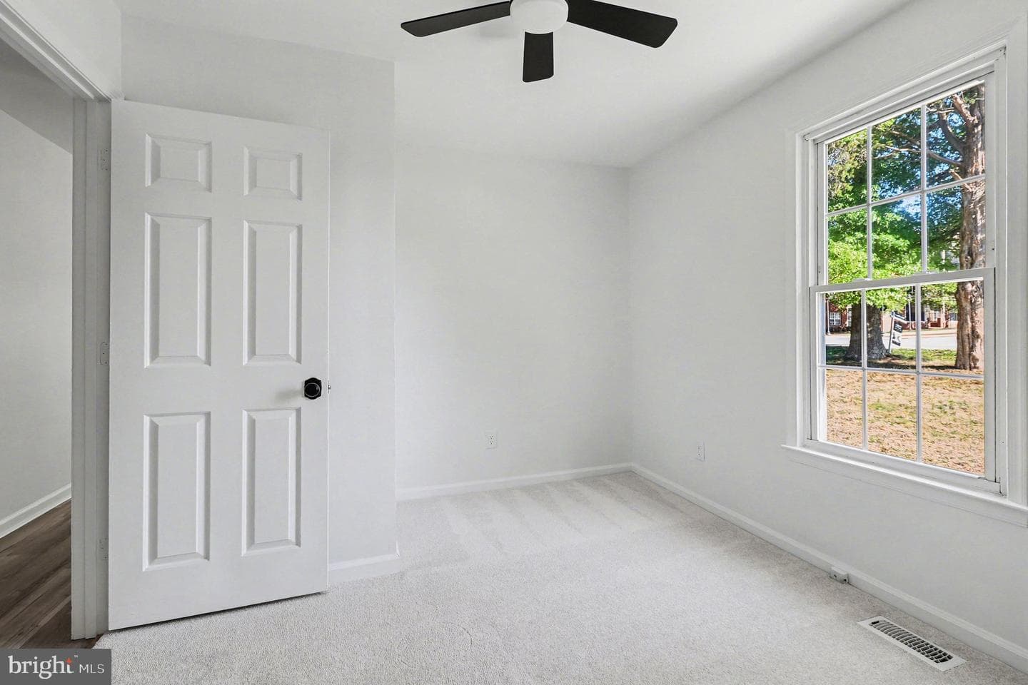101 Spotslee Drive photo 14