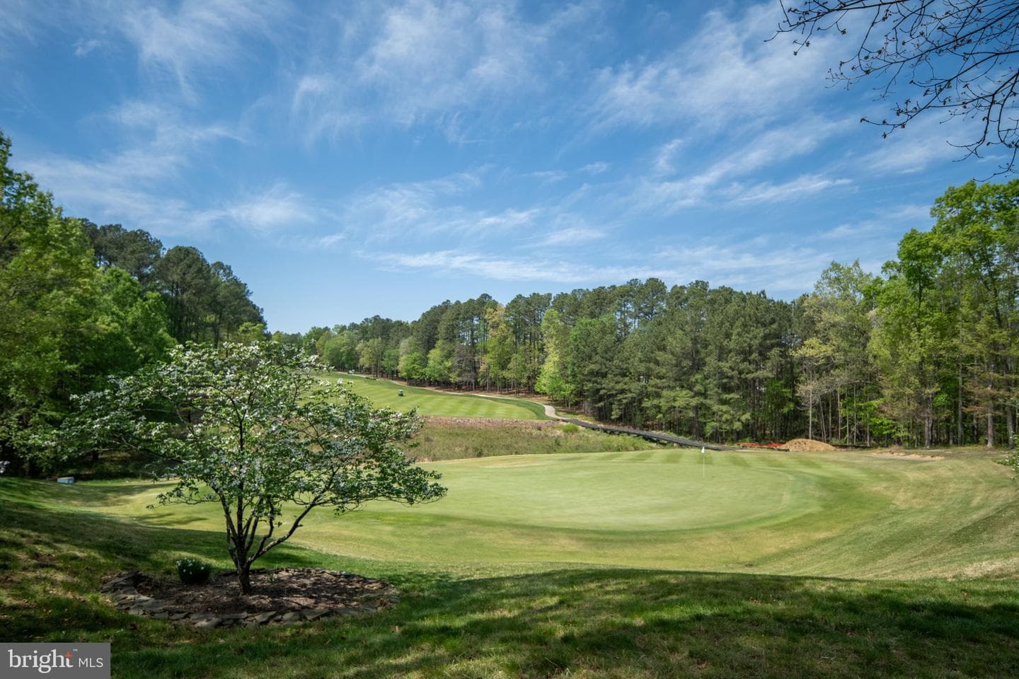 11515 Fawn Lake Parkway photo 139