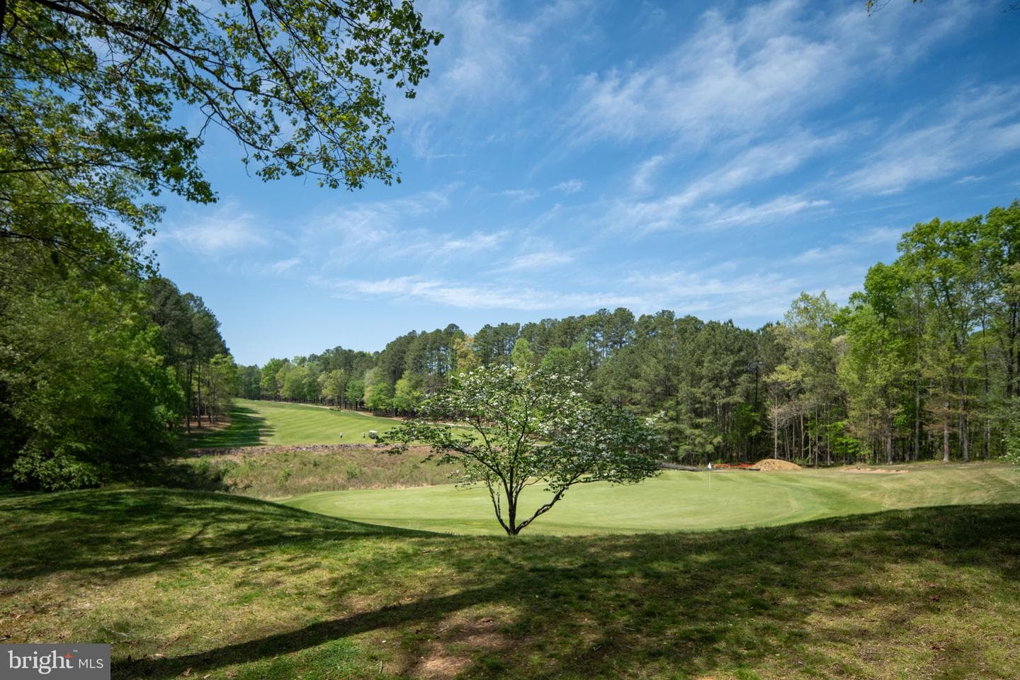 11515 Fawn Lake Parkway photo 24
