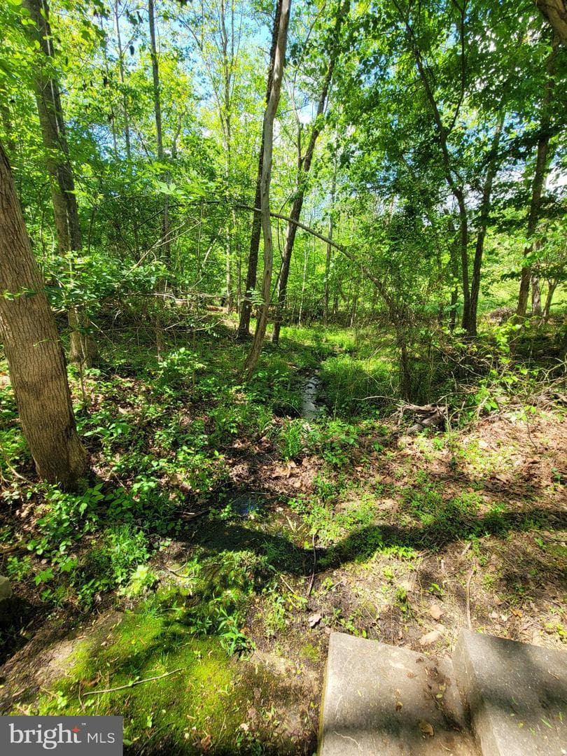 6000 Haleys Mill Road photo 79
