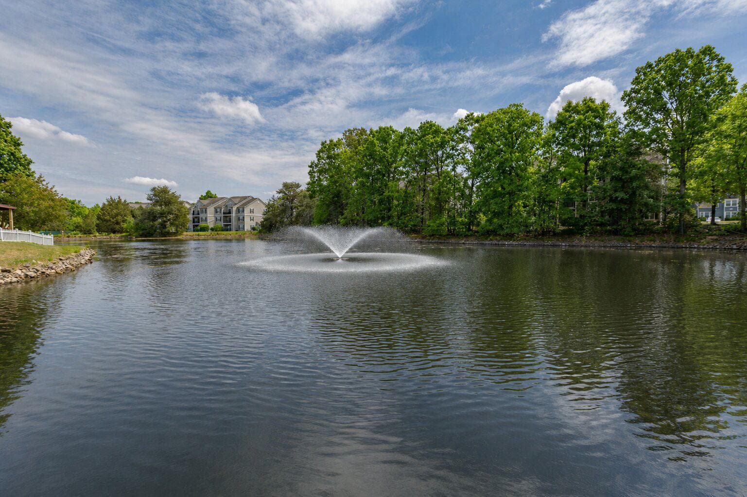 11701 Hampshire Court photo 51