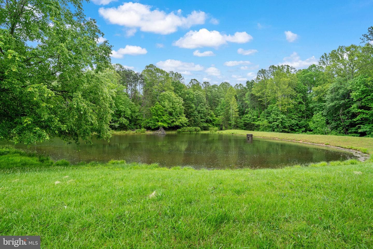 10400 Kings Cove Court photo 34