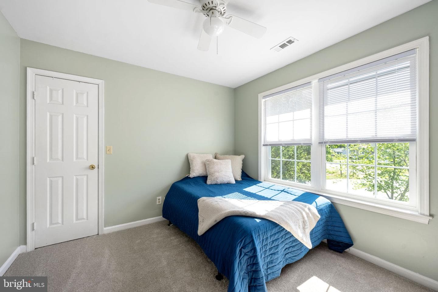 10127 New Scotland Drive photo 36