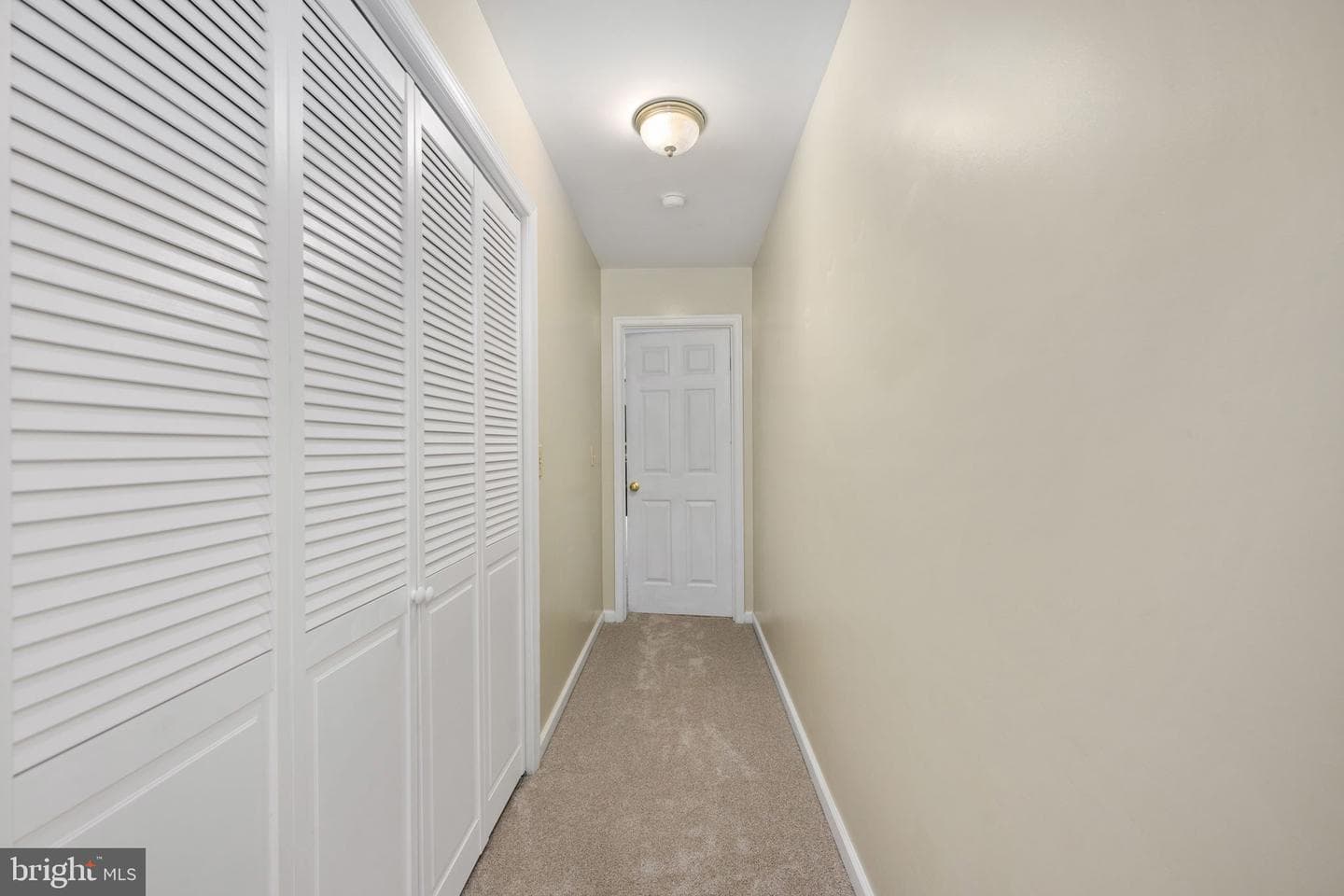 10127 New Scotland Drive photo 37