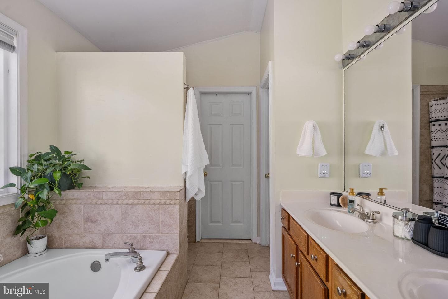 10127 New Scotland Drive photo 44