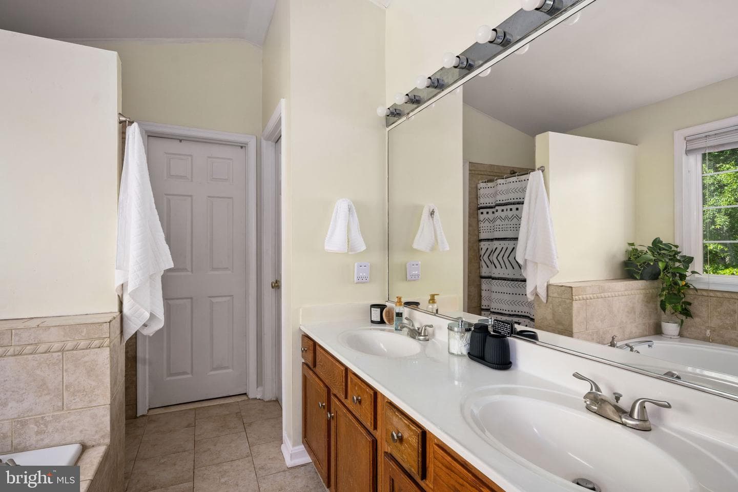 10127 New Scotland Drive photo 46