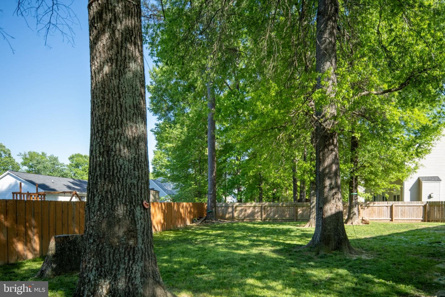 10127 New Scotland Drive photo 50