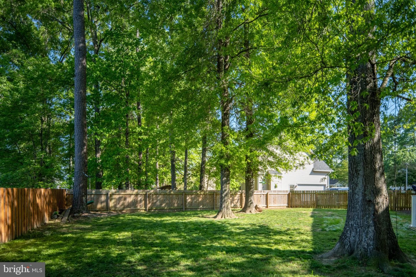 10127 New Scotland Drive photo 52