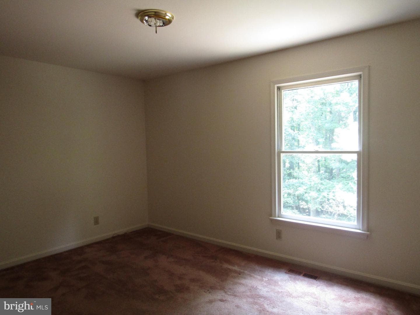 418 Cleveland Court photo 6
