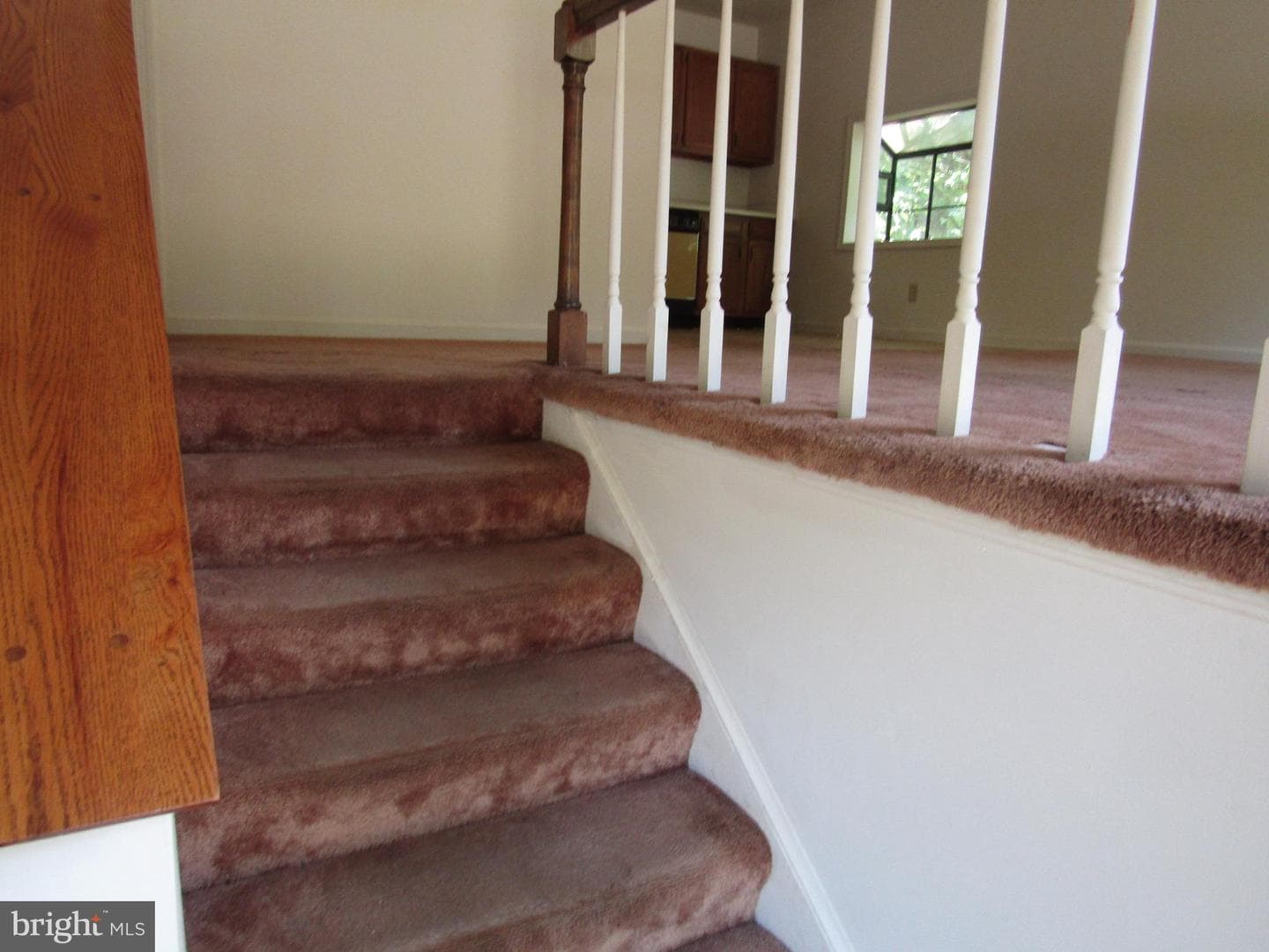 418 Cleveland Court photo 8