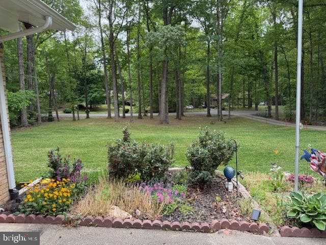 7 Berkshire Lane photo 10