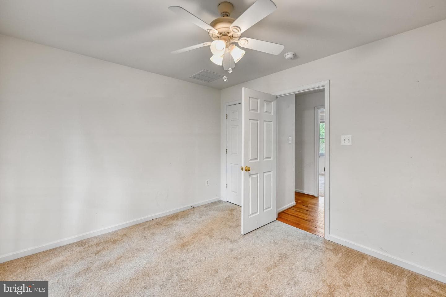 5815 Springfield Farm Lane photo 34