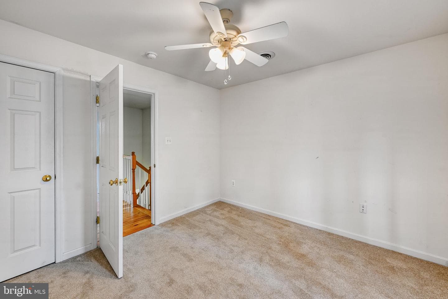 5815 Springfield Farm Lane photo 35