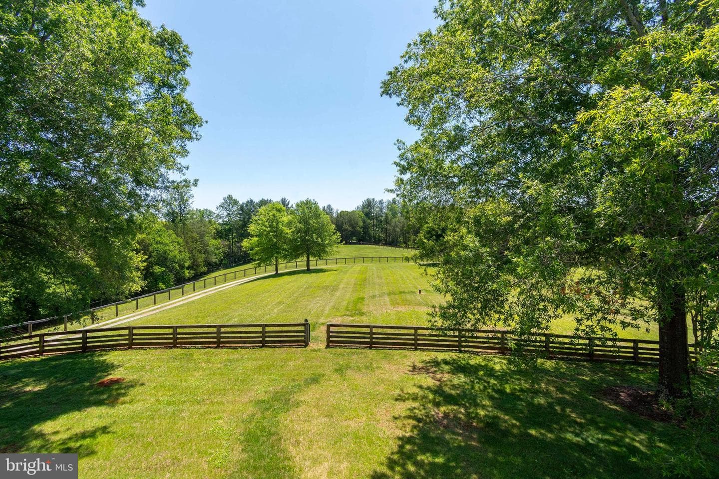 10813 Millridge Lane photo 15