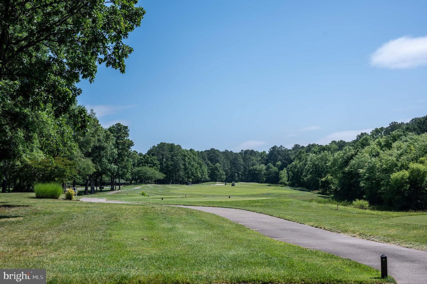11204 Fawn Lake Parkway photo 56