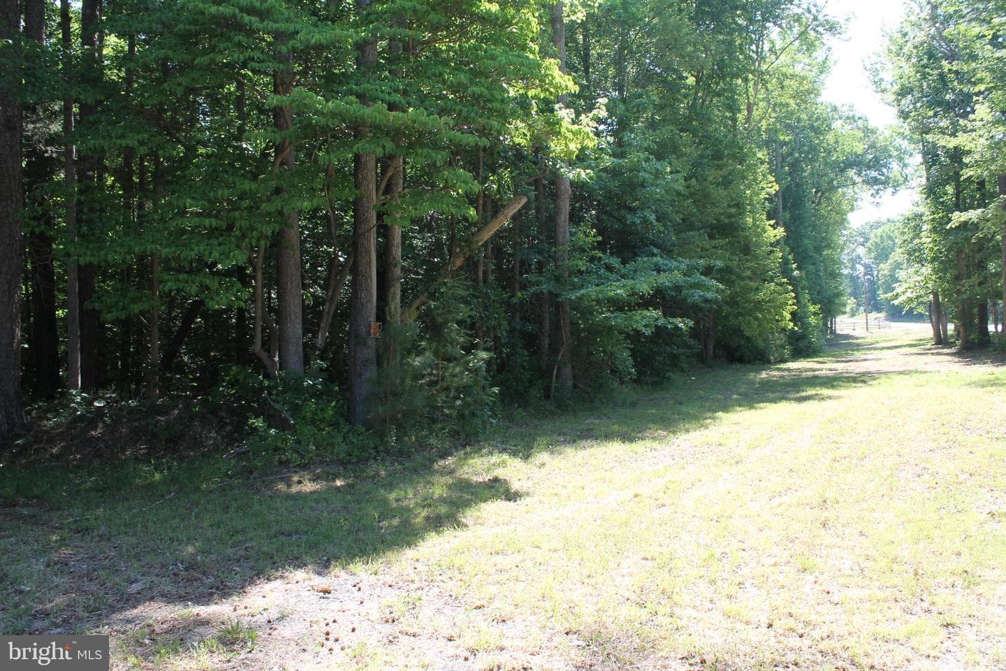 6019 And 6031 Hickory Ridge Rd photo 27
