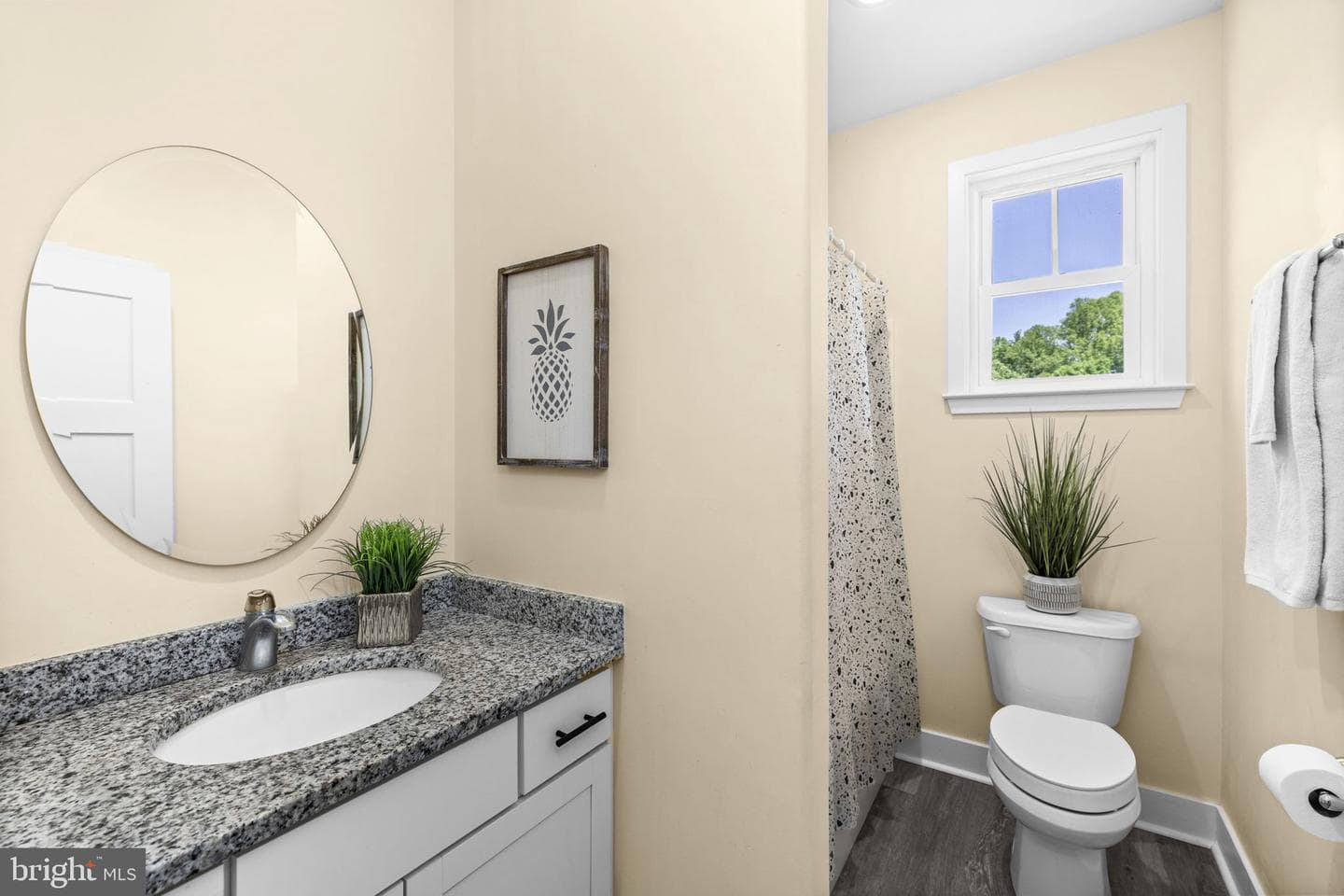5802 Willow Tree Court photo 29