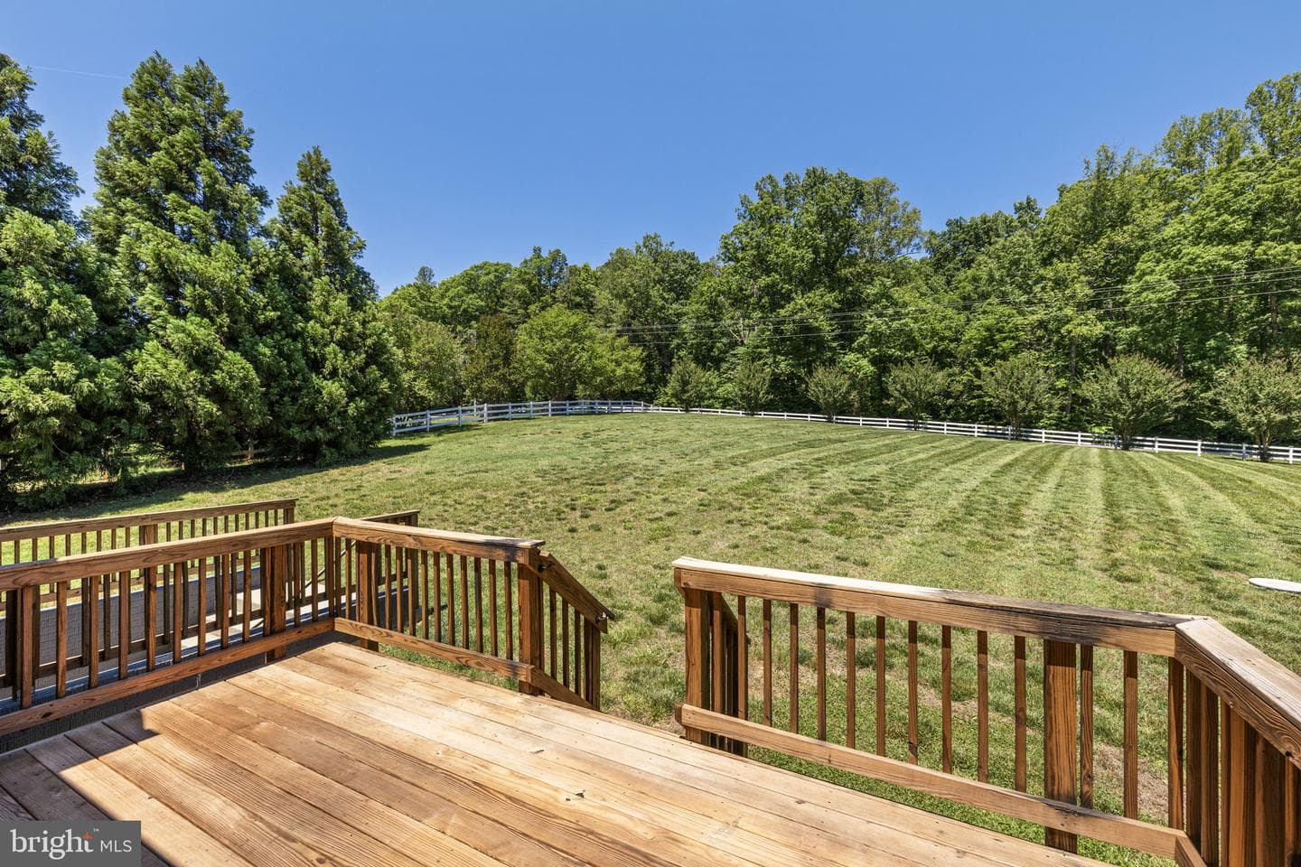 5802 Willow Tree Court photo 4