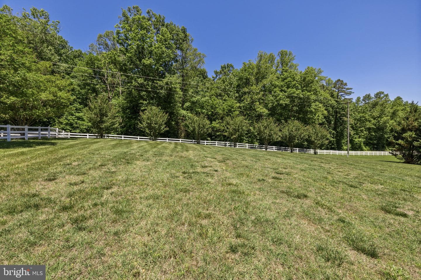 5802 Willow Tree Court photo 6