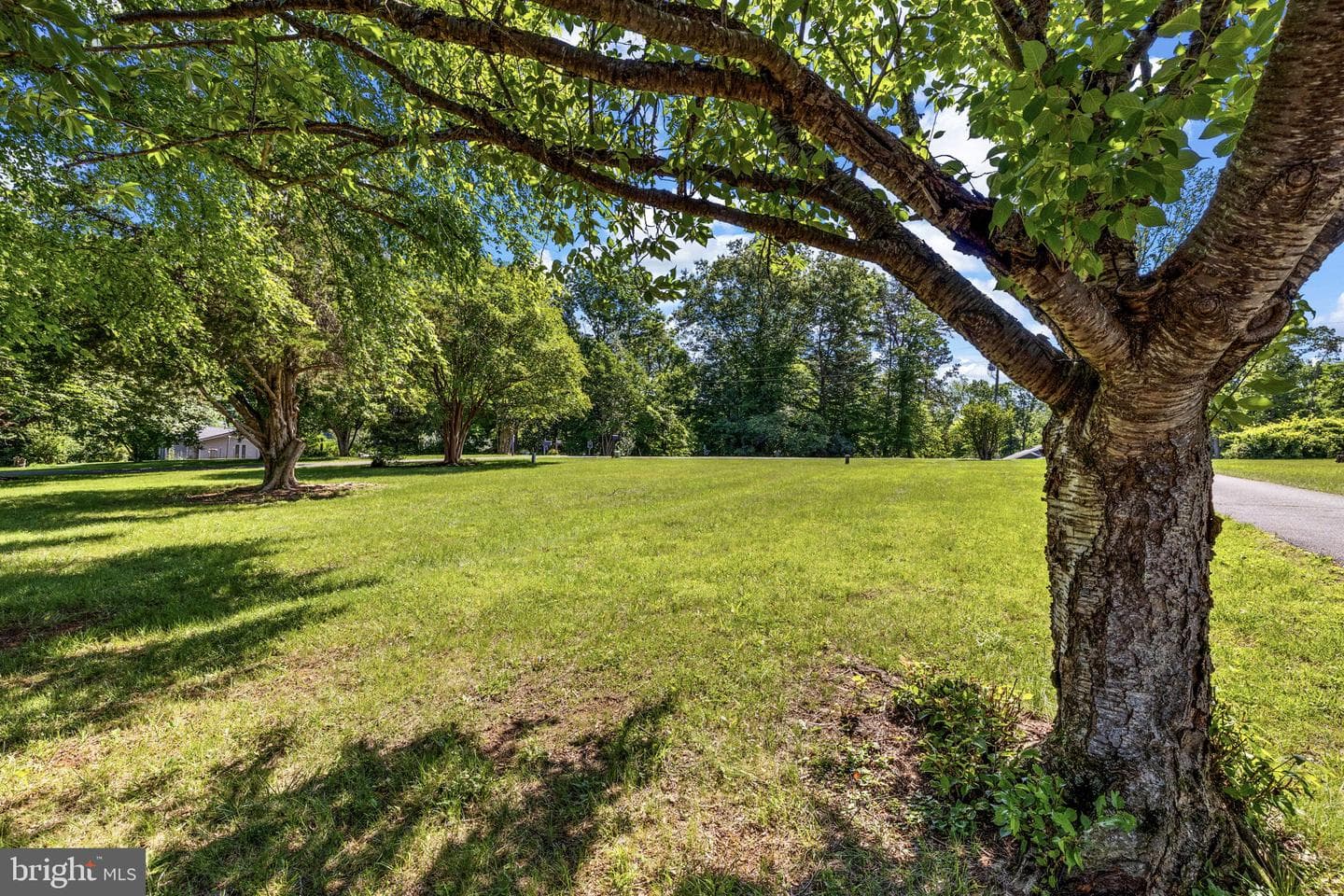 6216 Bryn Lane photo 48
