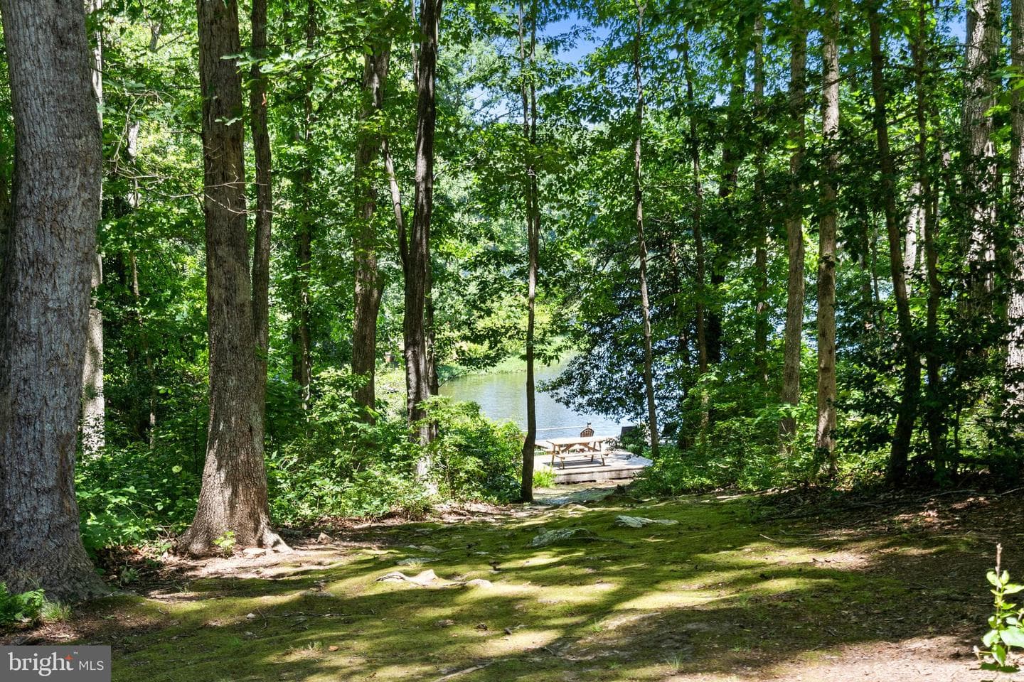12504 Mortar Lane photo 11