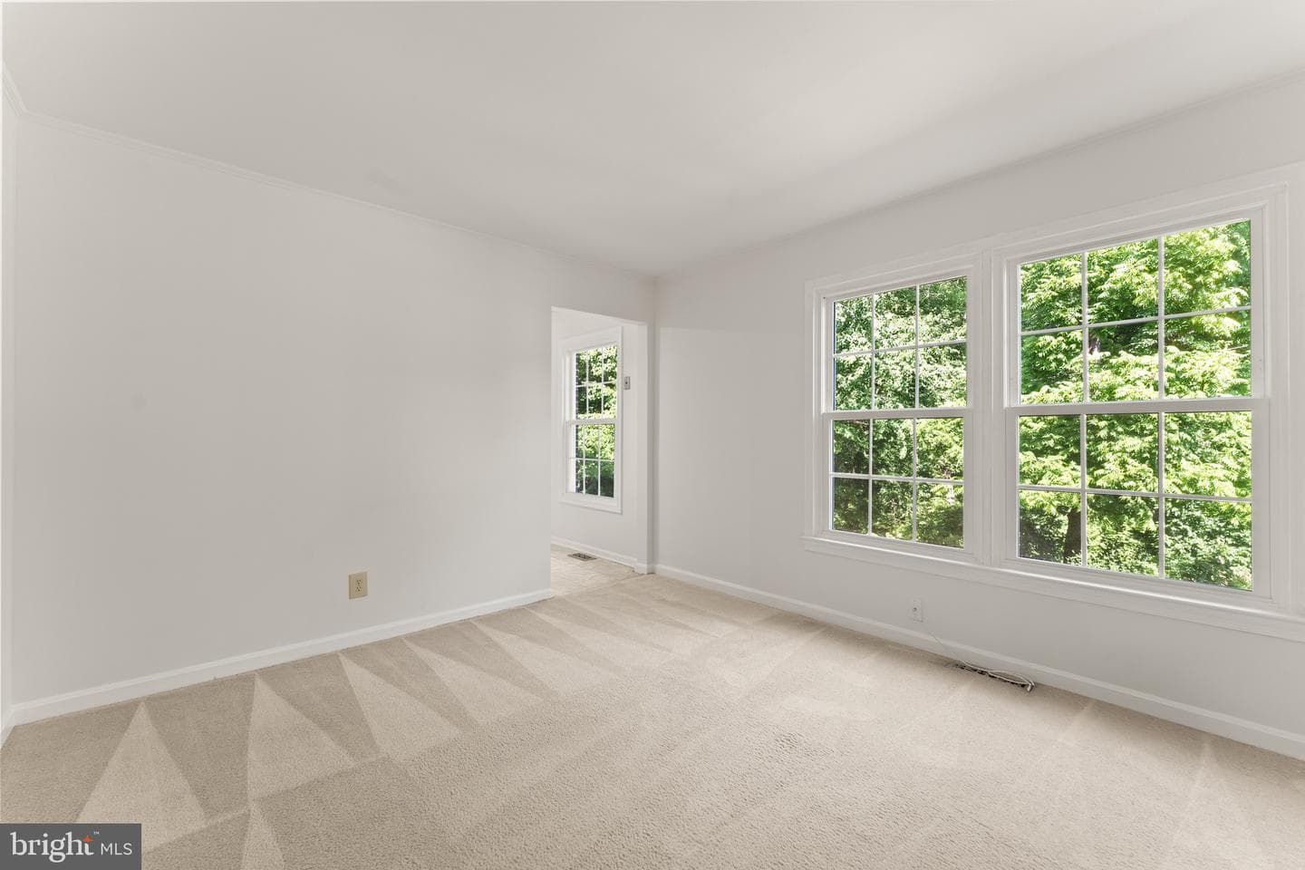 4503 Garfield Court photo 9