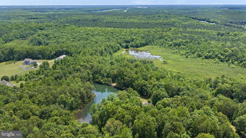 7601 Tributary Court photo 18