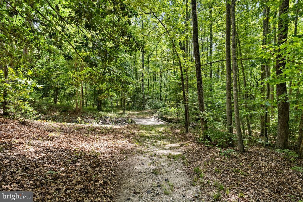 7601 Tributary Court photo 47