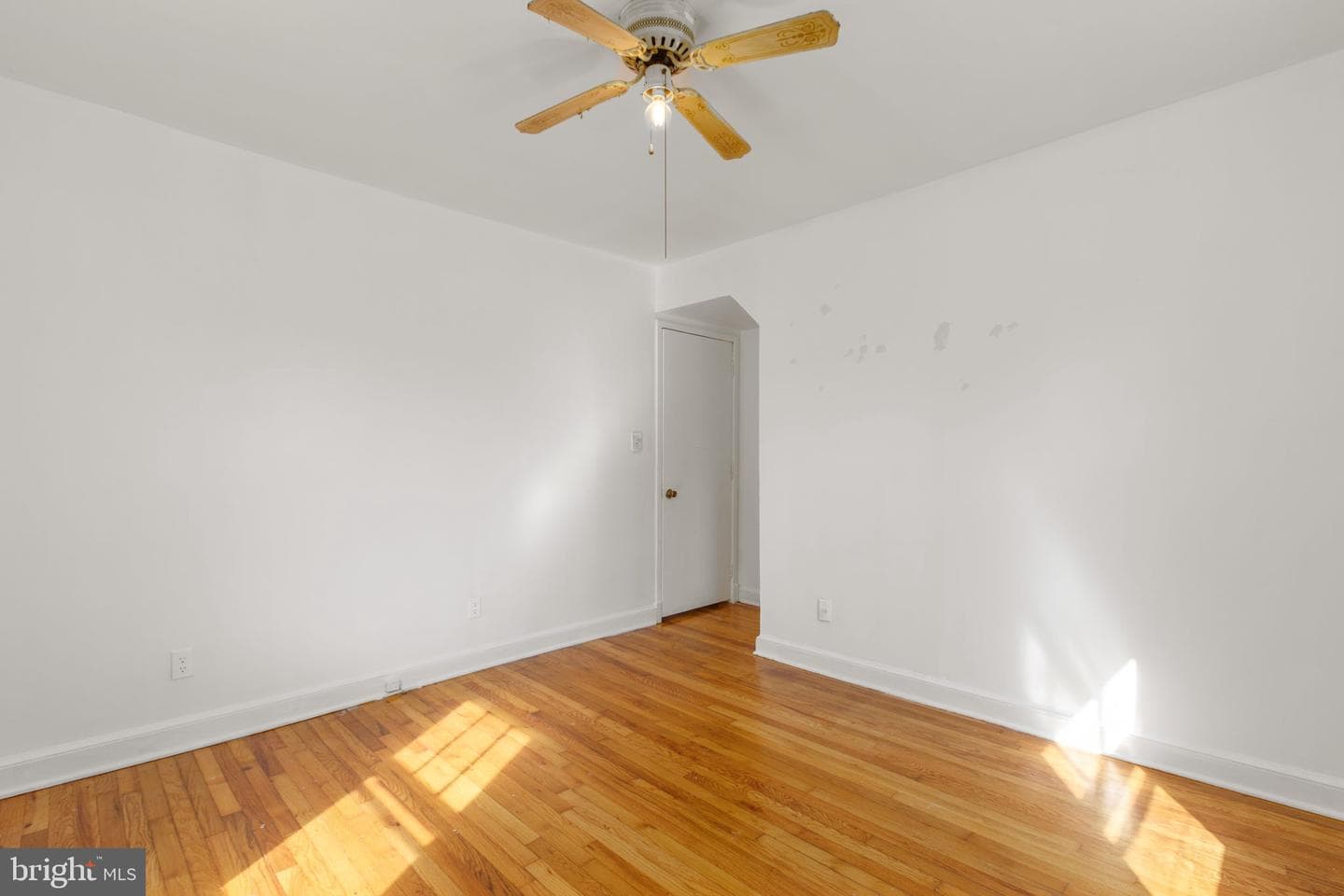 117 Hill Street photo 23