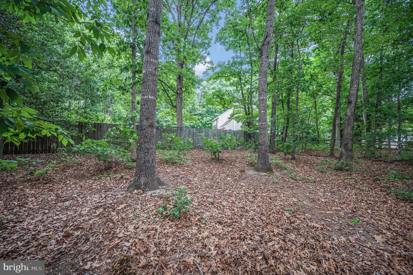 7301 Sunset Ridge Court photo 38