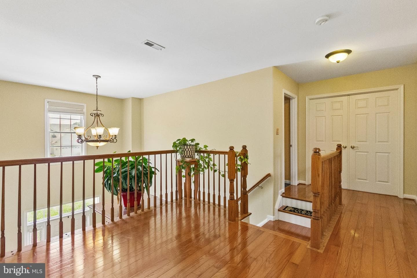 6929 Elon Drive photo 10