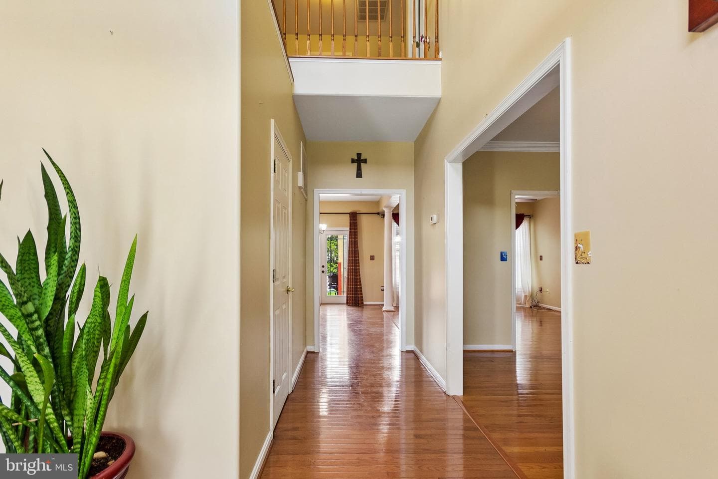 6929 Elon Drive photo 3