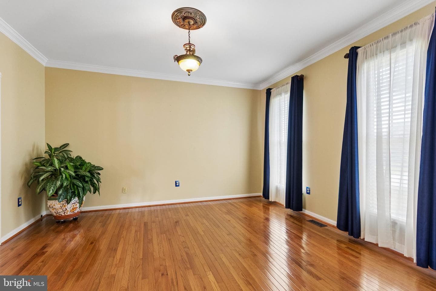 6929 Elon Drive photo 4